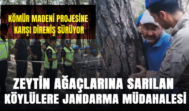 Kömür madeni projesine karşı direniş sürüyor: Zeytin ağaçlarına sarılan köylülere jandarma müdahalesi