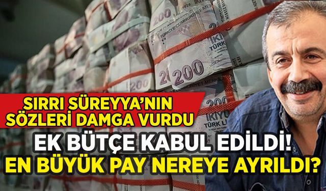 Ek bütçe Meclis'ten geçti: Sırrı Süreyya Önder'in sözleri damga vurdu