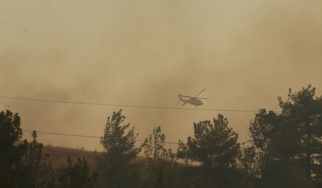 Fahrettin Koca'dan Çanakkale'deki yangınla ilgili açıklama