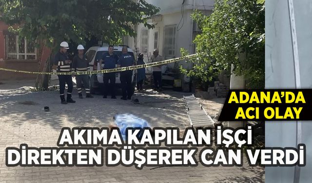 Adana'da akıma kapılan işçi direkten düşerek can verdi