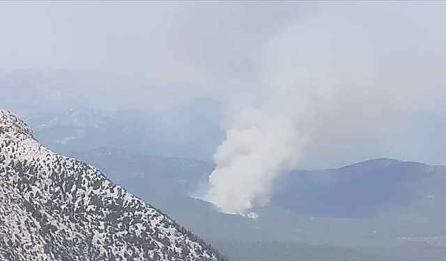 Antalya Akseki'de orman yangını çıktı
