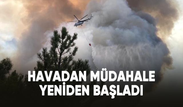 Eskişehir'deki orman yangınına havadan müdahale yeniden başladı