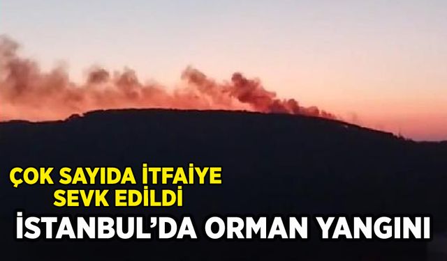 İstanbul Maltepe'de orman yangını: Çok sayıda itfaiye sevk edildi