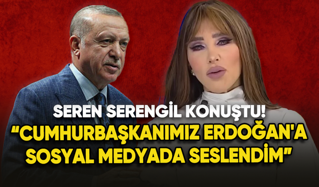 Seren Serengil: "Cumhurbaşkanımız Erdoğan'a sosyal medyada seslendim"