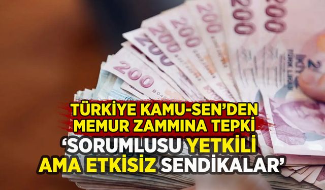 Türkiye Kamu-Sen'den memur zammına tepki: 'Enflasyona ezdiriyorlar'