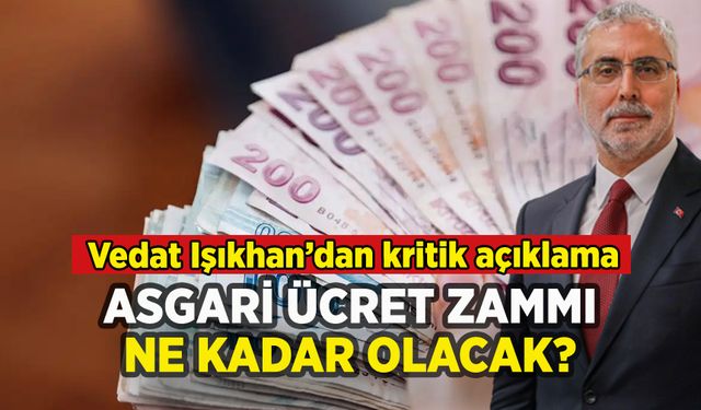 Vedat Işıkhan'dan asgari ücret zammı açıklaması: 'Koşullar onlar için zor'