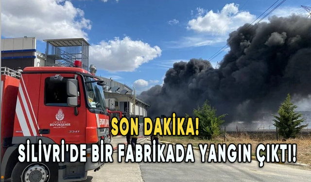 İstanbul Silivri'de bir fabrikada yangın çıktı!