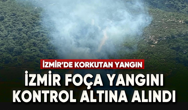 İzmir Foça'da orman yangını çıktı!