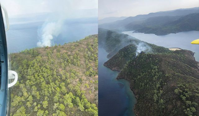 Muğla Marmaris'te orman yangını: Ekipler seferber oldu