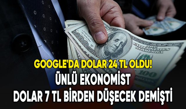Ünlü ekonomist Dolar 7 TL birden düşecek demişti: Google'da Dolar 24 TL oldu!