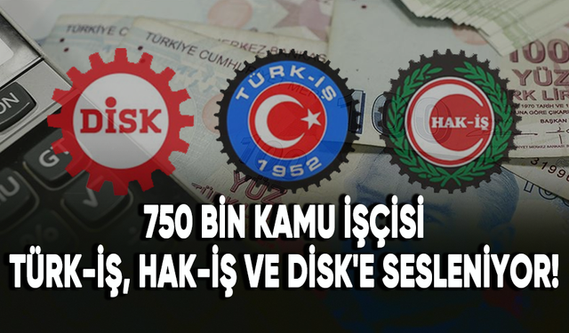 750 bin kamu işçisi TÜRK-İŞ, HAK-İŞ ve DİSK'e sesleniyor!