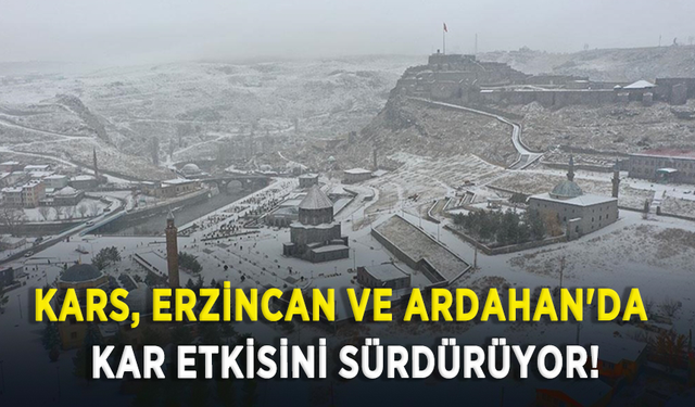 Kars, Erzincan ve Ardahan'da kar etkisini sürdürüyor!