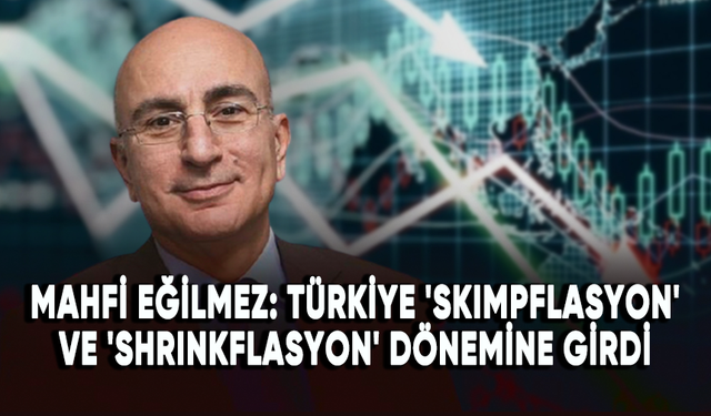 Mahfi Eğilmez: Türkiye 'skimpflasyon' ve 'shrinkflasyon' dönemine girdi