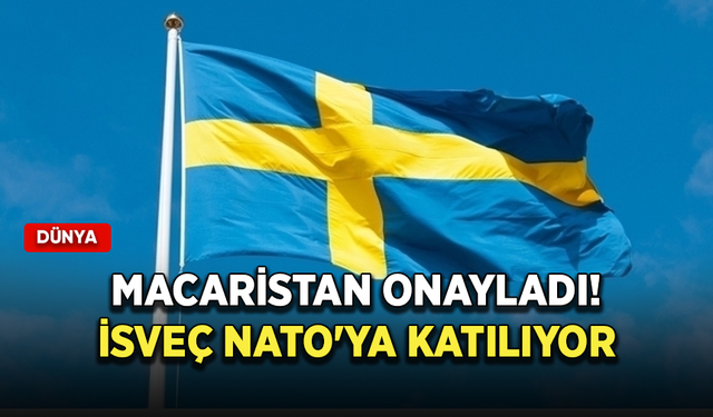 Macaristan onayladı! İsveç NATO'ya katılıyor