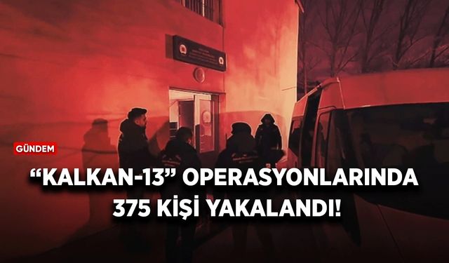 “Kalkan-13” operasyonlarında 375 kişi yakalandı!