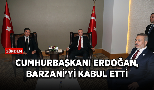 Cumhurbaşkanı Erdoğan, Irak Kürt Bölgesel Yönetimi Başkanı Barzani'yi kabul etti