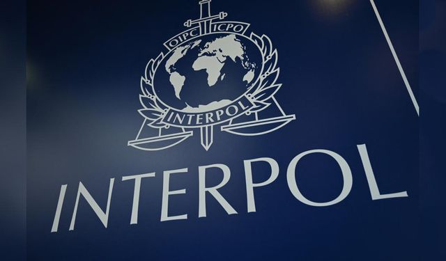 INTERPOL'den Rusya açıklaması: Destek vermeye hazırız