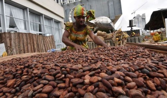 Çikolata üretimine büyük darbe: İki ülkede fabrikalar durdu