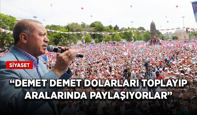 Cumhurbaşkanı Erdoğan: Demet demet dolarları toplayıp aralarında paylaşıyorlar