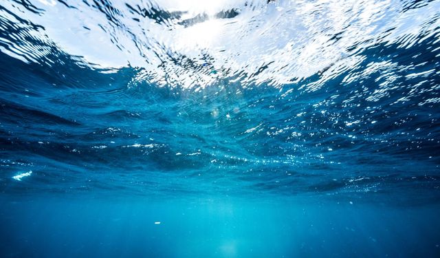 Rekor sıcaklıklar okyanus ekosistemini olumsuz etkiliyor