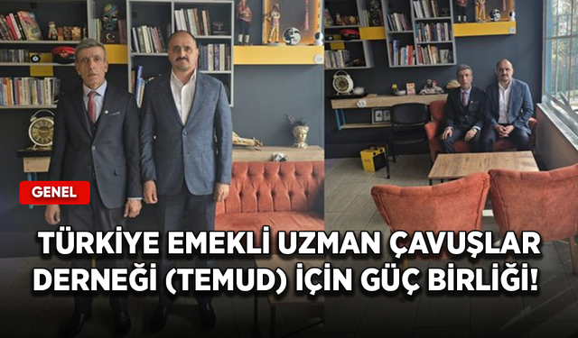 Türkiye Emekli Uzman Çavuşlar Derneği (TEMUD) için güç birliği!