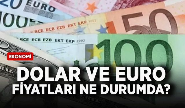 Dolar ve euro fiyatları ne durumda?