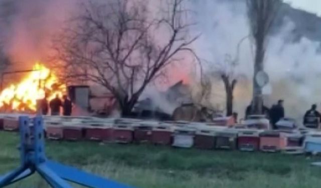 Çankırı'da bir çiftlikte yangın çıktı! 21 büyükbaş hayvan telef oldu