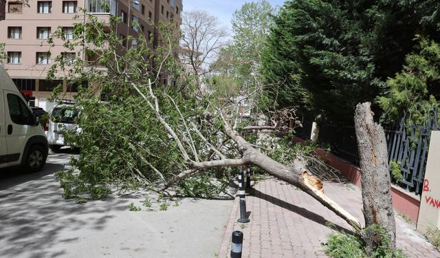 Konya'da fırtına tehlikeli durumlar oluşturdu! Çatılar uçtu, ağaçlar devrildi