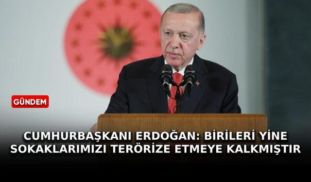 Cumhurbaşkanı Erdoğan: Birileri yine sokaklarımızı terörize etmeye kalkmıştır