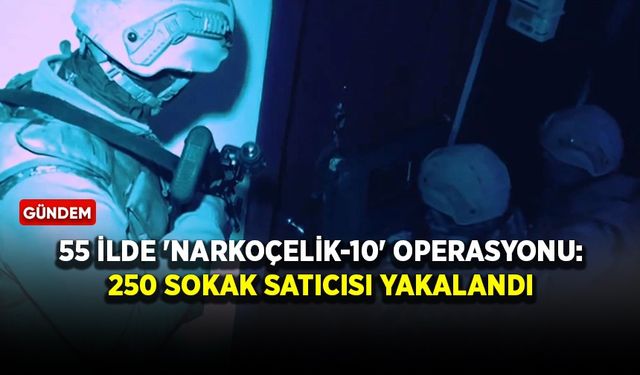 55 ilde 'Narkoçelik-10' operasyonu: 250 sokak satıcısı yakalandı