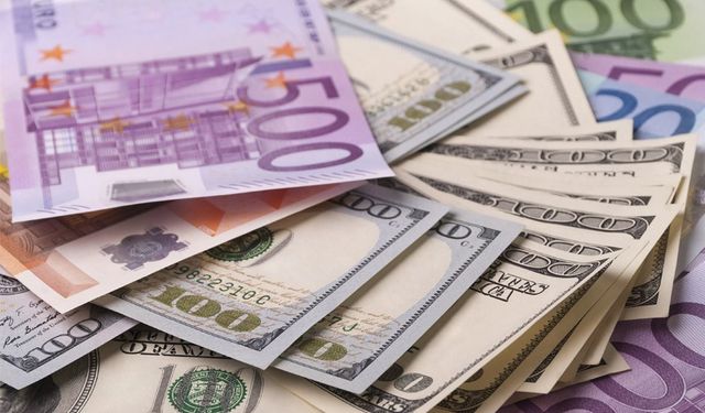 Bugün dolar ve euro ne kadar oldu?