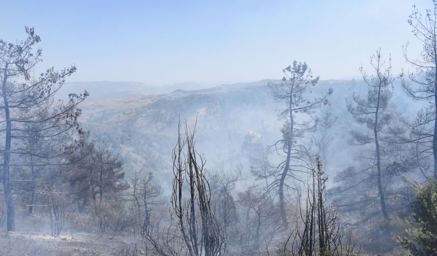 Bilecik'te orman yangınının kontrol altına alındığı bölgede soğutma çalışması sürüyor