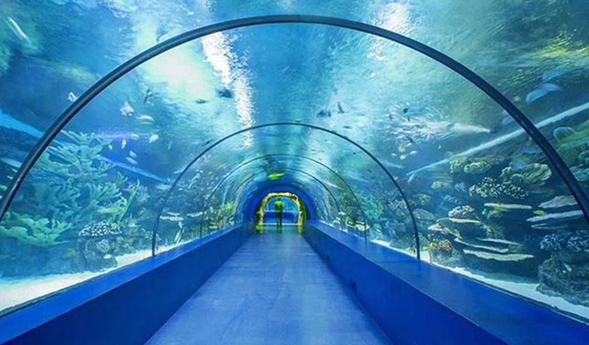 Dünyada ilk: Tünel akvaryumu Trabzon’da