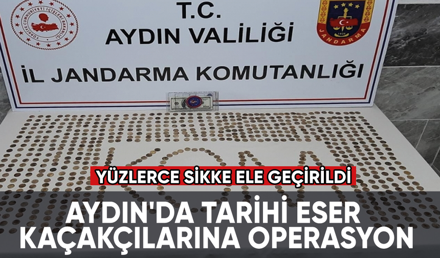 Aydın'da tarihi eser kaçakçılarına operasyon