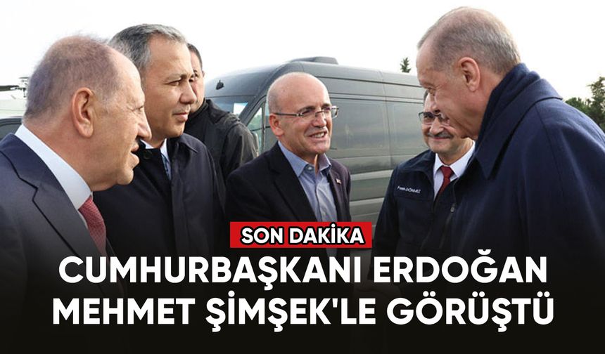 Cumhurbaşkanı Erdoğan ekonomiden sorumlu eski Başbakan Yardımcısı Mehmet Şimşek'le görüştü