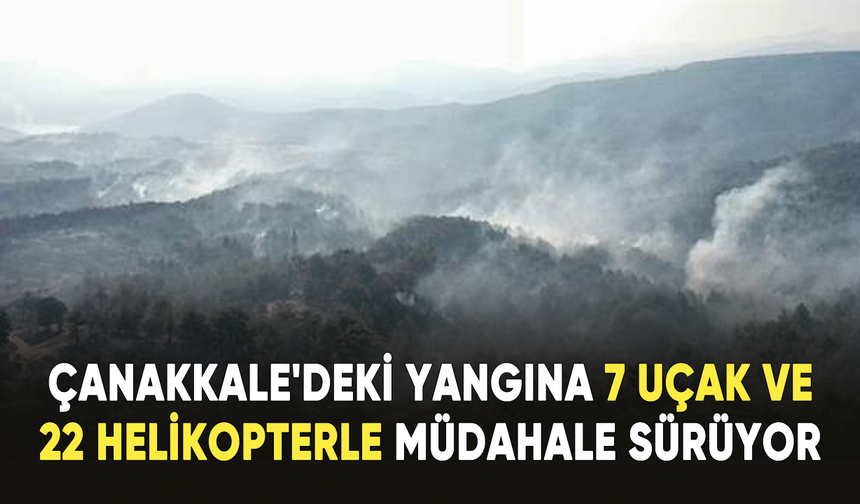 Çanakkale'deki orman yangınına 7 uçak ve 22 helikopterle müdahale sürüyor