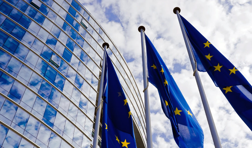Avrupa Birliği Fransa'nın geri gönderme politikası yasa dışı kabul etti