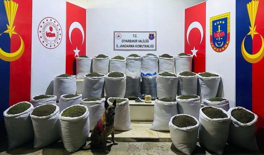 Diyarbakır'da 611 kilogram toz esrar ele geçirildi, 3 kişi yakalandı