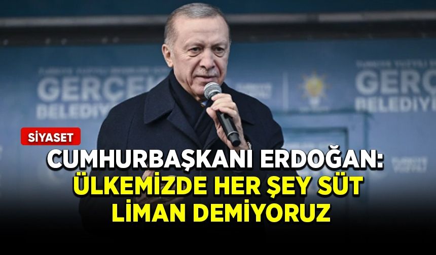 Cumhurbaşkanı Erdoğan: Ülkemizde her şey süt liman demiyoruz