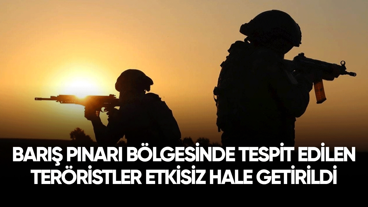 Barış Pınarı bölgesinde tespit edilen teröristler etkisiz hale getirildi